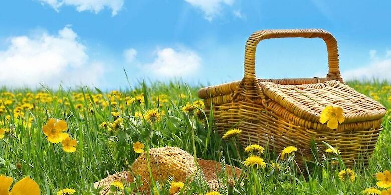 post-19215-0-07941700-1619685869